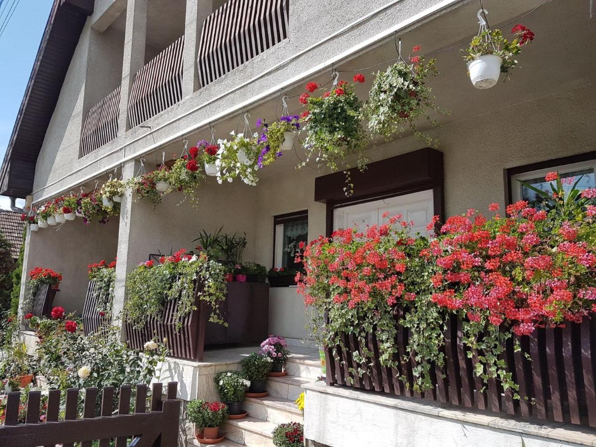 Antal Apartmans Lunca De Sus Kulcsoshaz Gyimesfelsolok エクステリア 写真