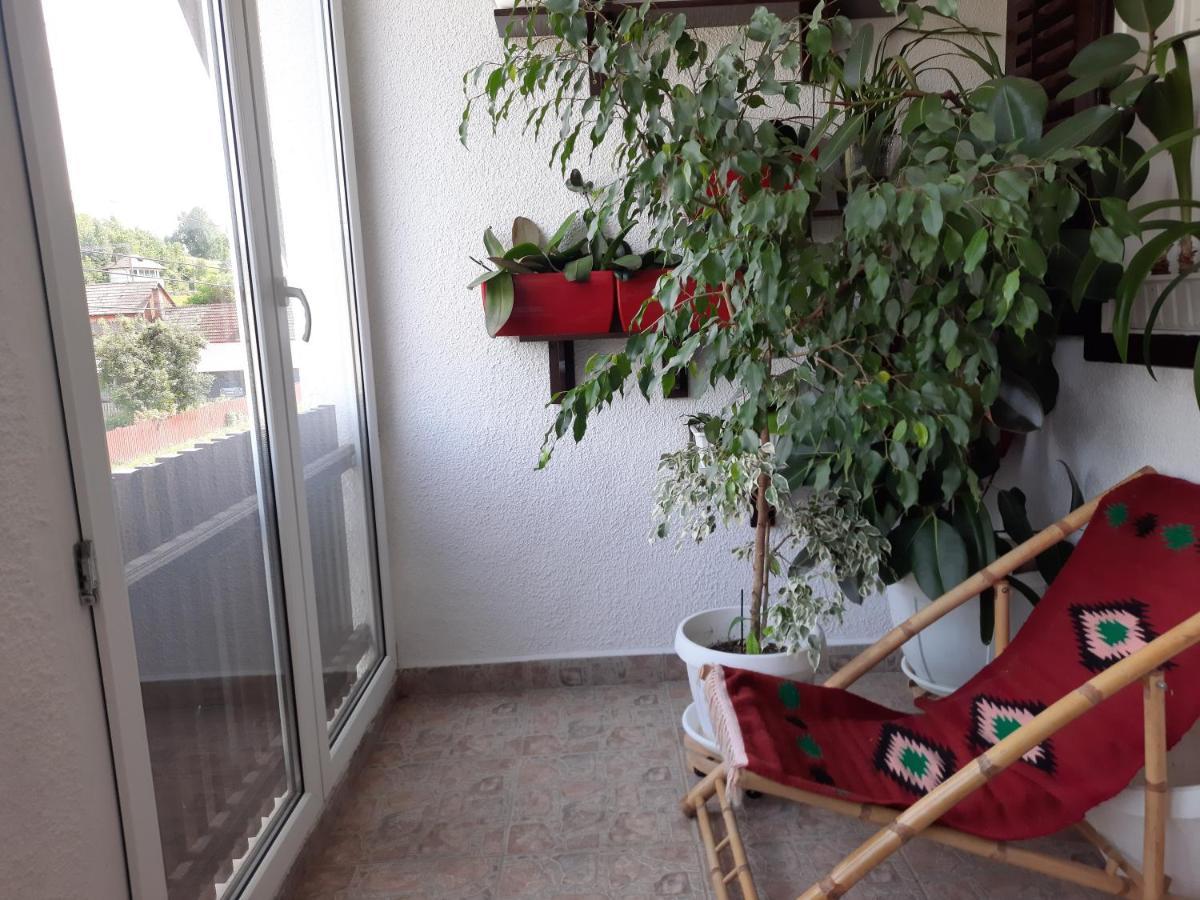Antal Apartmans Lunca De Sus Kulcsoshaz Gyimesfelsolok エクステリア 写真