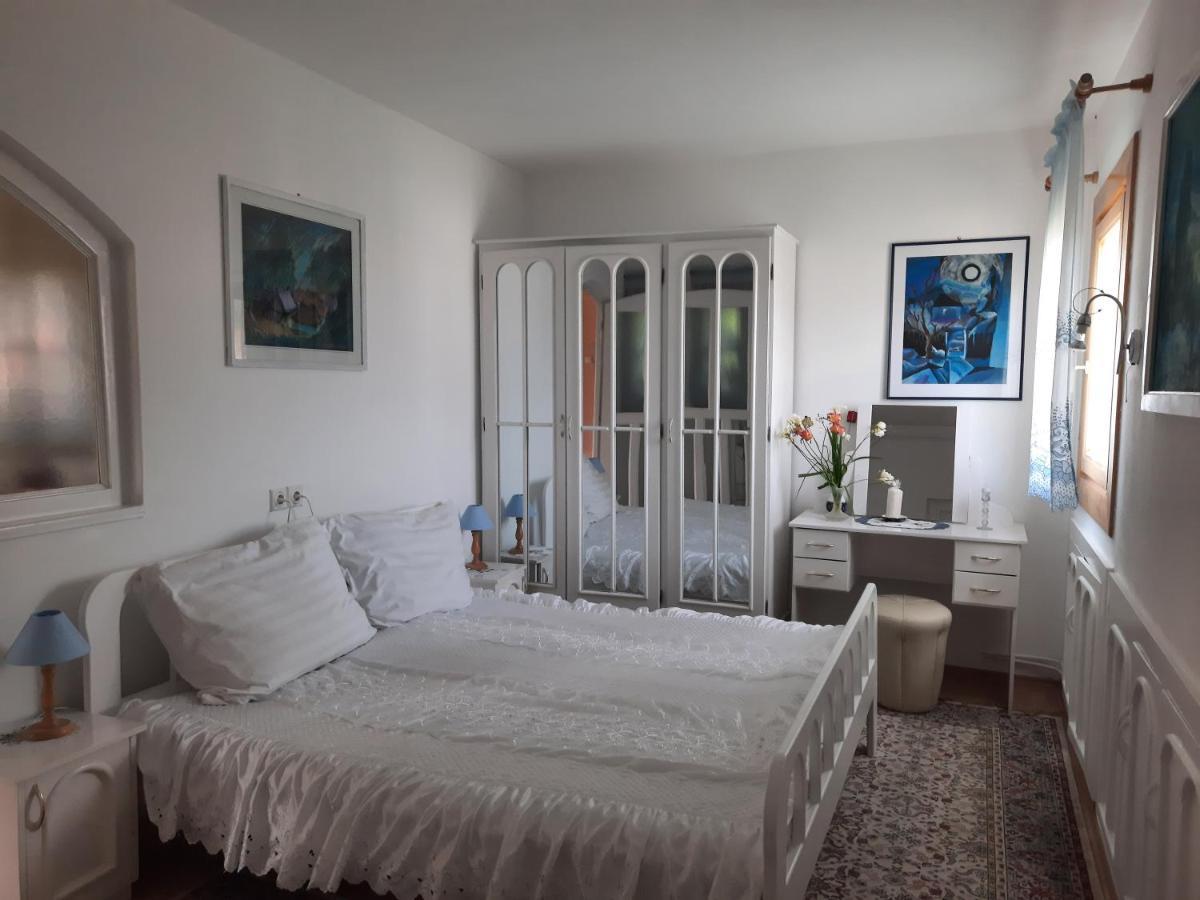 Antal Apartmans Lunca De Sus Kulcsoshaz Gyimesfelsolok エクステリア 写真