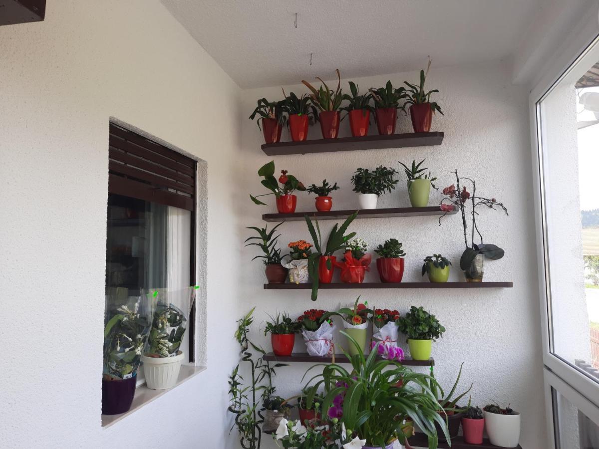 Antal Apartmans Lunca De Sus Kulcsoshaz Gyimesfelsolok エクステリア 写真