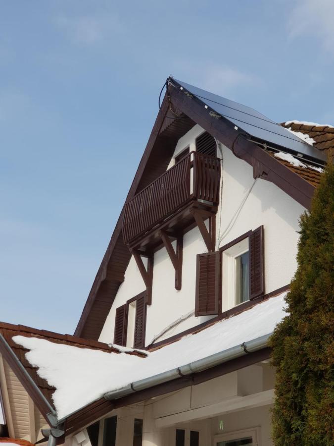 Antal Apartmans Lunca De Sus Kulcsoshaz Gyimesfelsolok エクステリア 写真