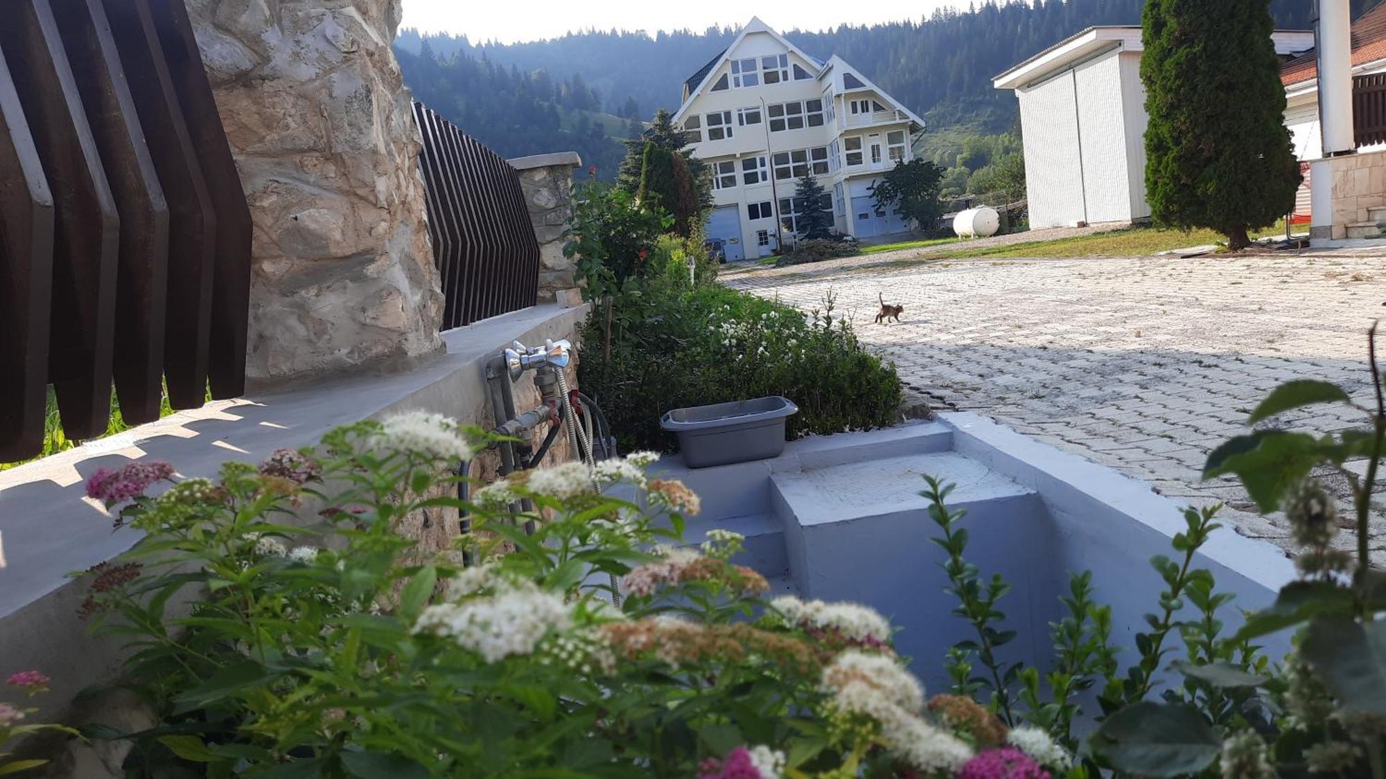 Antal Apartmans Lunca De Sus Kulcsoshaz Gyimesfelsolok エクステリア 写真
